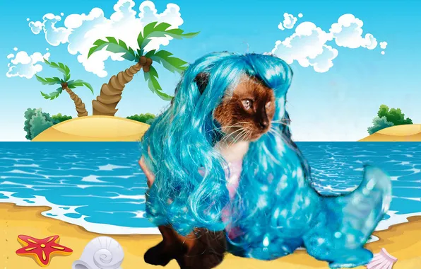 Sand, sea, cat, beach, the sky, cat, look, clouds
