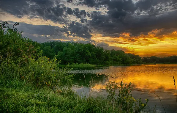 Greens, forest, the sky, trees, sunset, clouds, lake, the evening