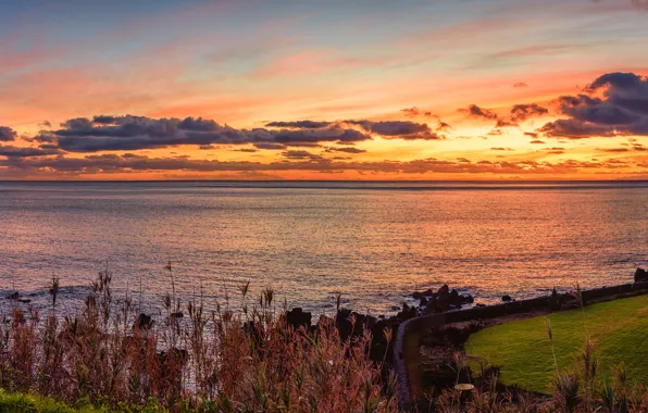 Picture sea, the sky, sunset, coast, horizon, glow, Portugal, Terceira Island
