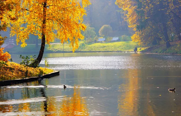 Picture autumn, nature, pond, Park, river, duck, fisherman