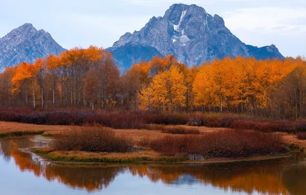 Picture autumn, trees, mountains, lake, Wyoming, USA, Teton