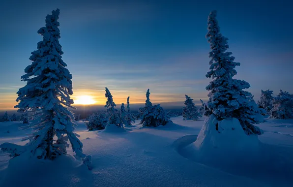 Picture winter, snow, sunset, ate, Finland