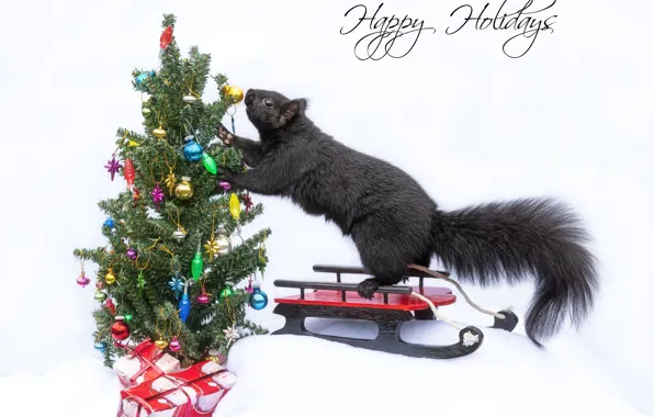 Protein, Christmas, gifts, white background, New year, tree, sled