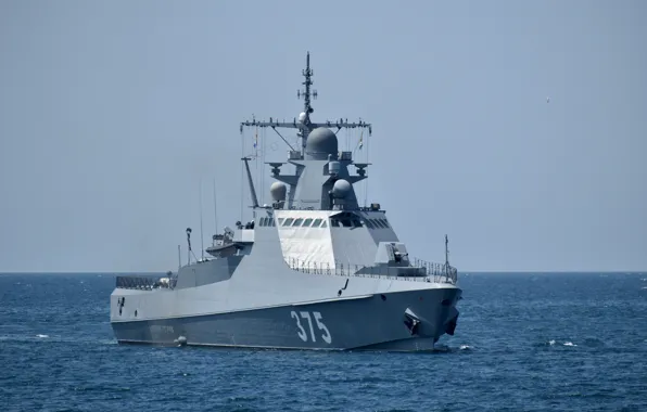 Ship, patrol, Dmitry Rogachev