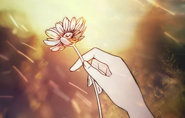 Picture flowers, hands, retouch