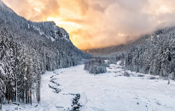 Picture Sunset, winter, snow, national park, Nisqually River valley, Mount Rainie