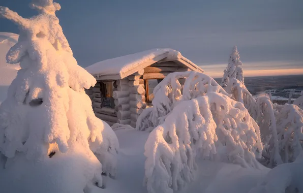 Picture winter, snow, trees, landscape, nature, hut, ate, house