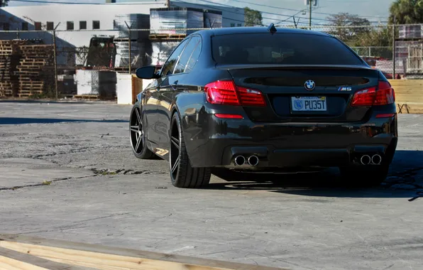 Picture black, bmw, BMW, shadow, black, back, f10