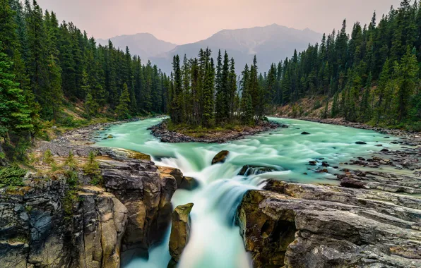 Picture forest, mountains, stones, rocks, waterfall