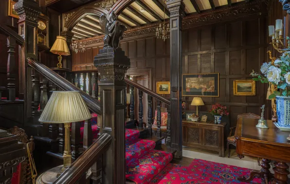 Picture trees, flowers, design, carpet, furniture, lamp, picture, ladder