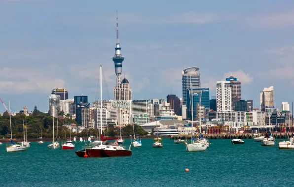 The city, coast, yachts, Auckland, New, Zealand