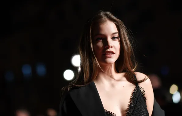 Look, girl, model, makeup, hairstyle, hair, Barbara Palvin, Barbara Palvin