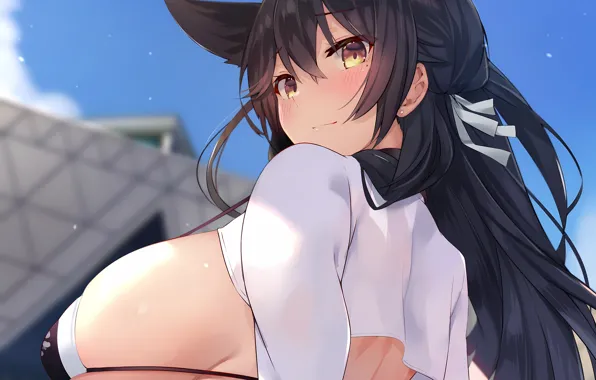 Girl, sexy, cleavage, long hair, boobs, animal ears, anime, beautiful