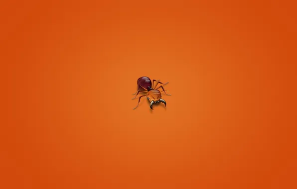 Minimalism, ant, insect, reddish background, ant