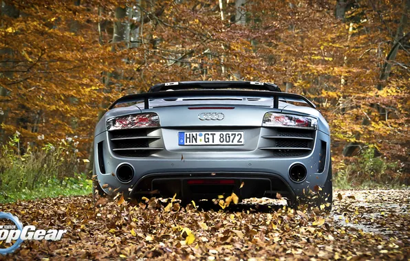 Picture Audi, foliage, Audi, Top Gear, supercar, rear view, the best TV show, top gear