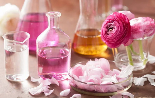 Flowers, roses, petals, still life, pink flowers, spa