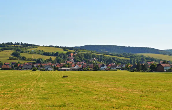 Greens, field, forest, the sky, grass, the sun, trees, Germany