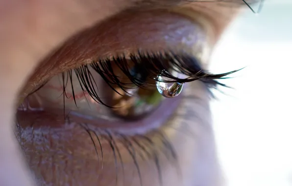 Macro, eyes, tear