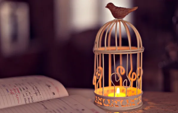 Picture light, background, the inscription, widescreen, bird, Wallpaper, mood, candle