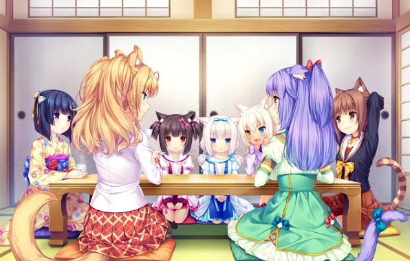 Table, Girls, Tea, Nekopara