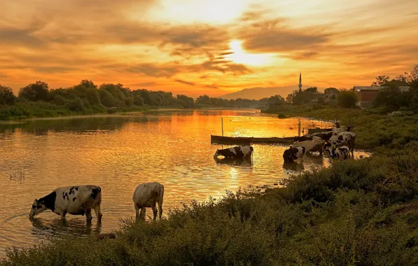 Picture summer, the sun, clouds, sunset, nature, river, shore, dal