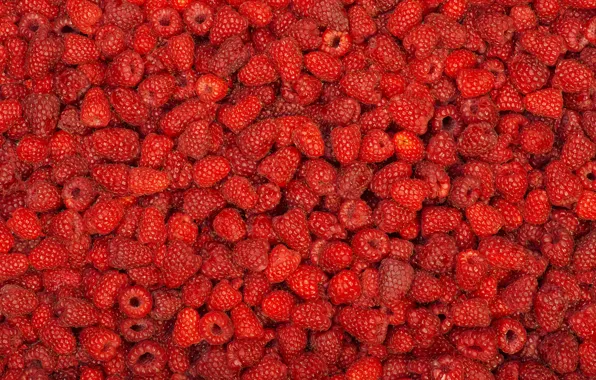 Picture raspberry, berry, a lot