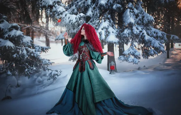 Picture winter, forest, girl, snow, trees, nature, bird, dress