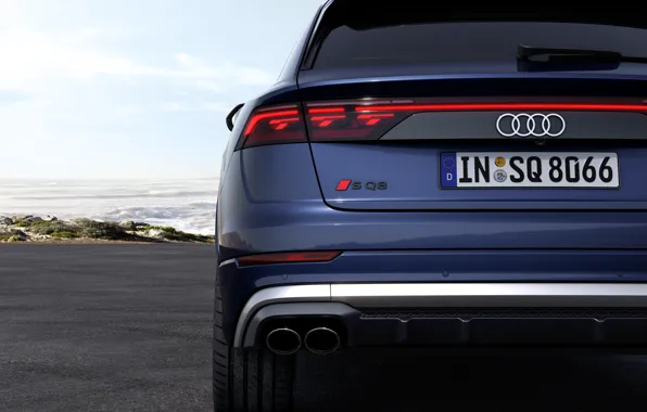 Picture Audi, close-up, rear, SQ8, Audi SQ8 TFSI