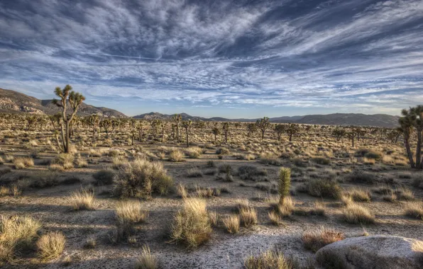 The sky, clouds, desert