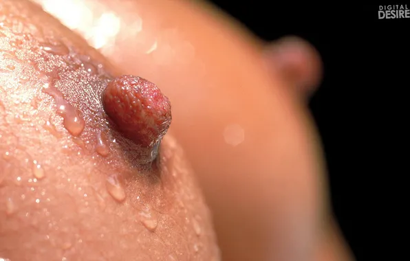 Chest, water, drops, Tits, nipples