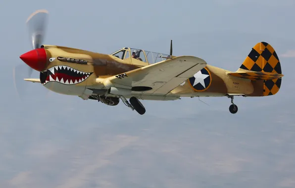 Fighter, cabin, pilot, Curtiss P-40