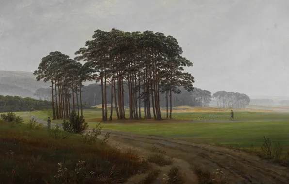 Road, trees, landscape, picture, Caspar David Friedrich, Noon
