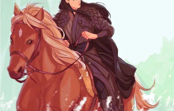 Squirt, horse, armor, China, guy, the Emperor