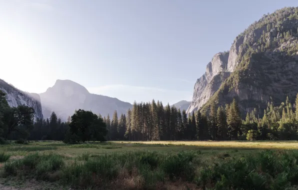 Haze, mountains, forest, Yosemite