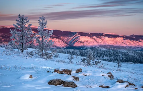 Winter, snow, trees, landscape, mountains, nature, the steppe, dawn