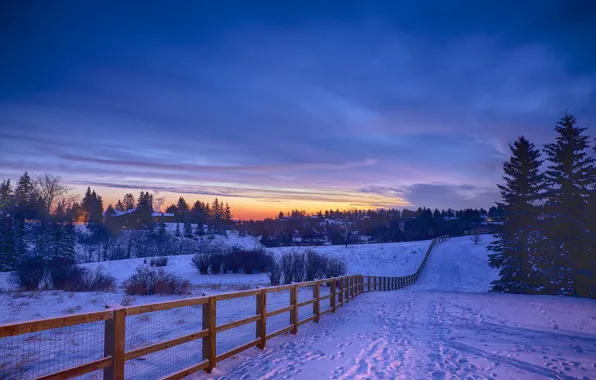 Picture winter, snow, traces, sunrise, morning, village, the fence, track