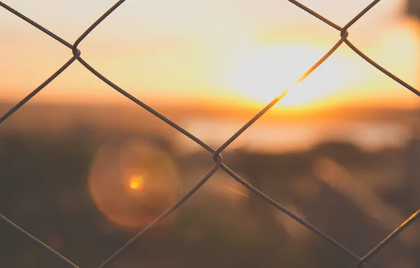 Picture the sky, sunset, the fence, fence, rods