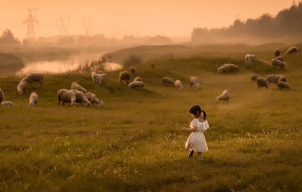 Picture girl, fog, field