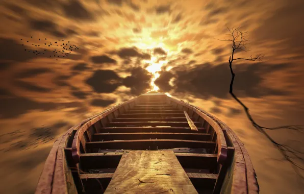 The sky, nature, boat