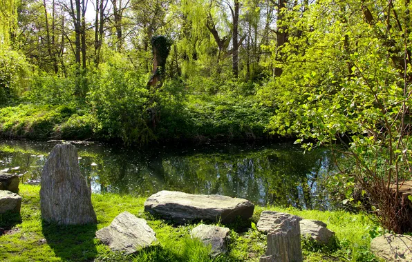 Trees, water, park, stones, spring, pond