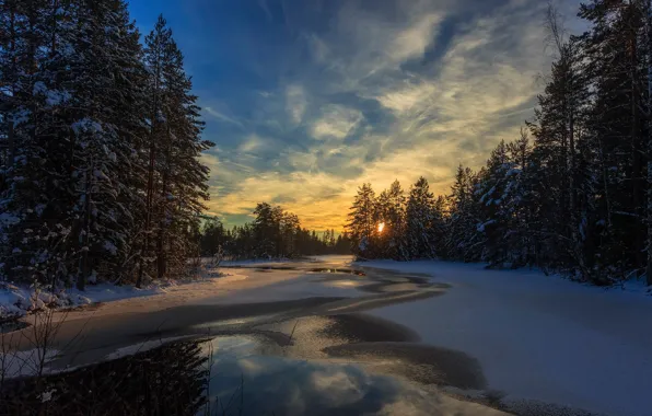 Winter, forest, snow, trees, dawn, river, Sweden, polynya