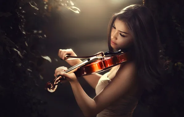 Picture violin, bow, bokeh, violinist