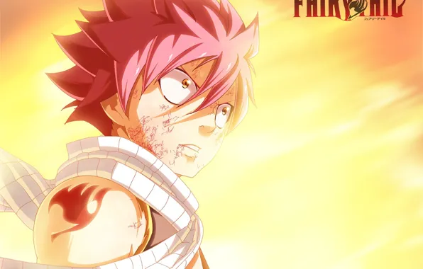 Guy, Fairy Tail, Natsu Dragneel, Fairy tail