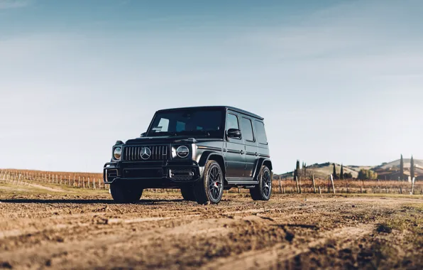 Picture Black, Field, G63 AMG