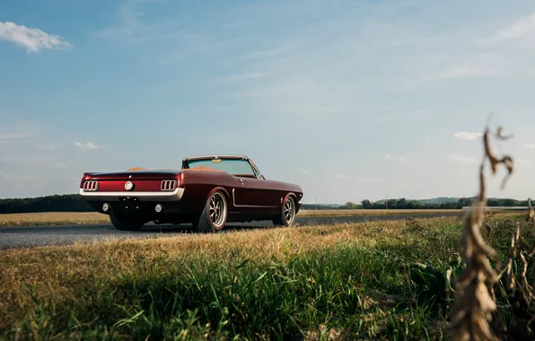 Car, Mustang, Ford, sky, Ringbrothers, 1965 Ford Mustang Convertible, Ford Mustang Uncaged