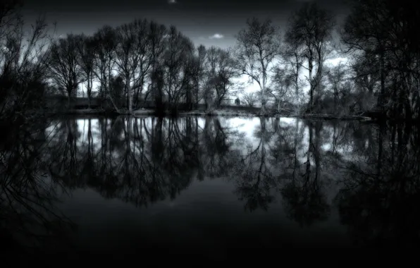 Water, trees, night, photo, landscapes