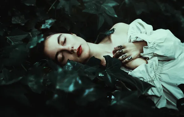 Picture forest, girl, letters, thickets, the inscription, dress, tattoo, lies