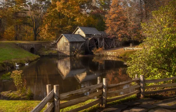 United States, Virginia, Blue Ridge Parkway, Mabry Mill, Money
