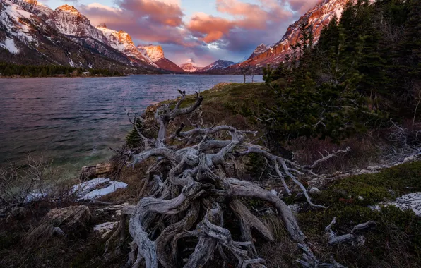 Clouds, landscape, mountains, nature, lake, morning, Montana, USA