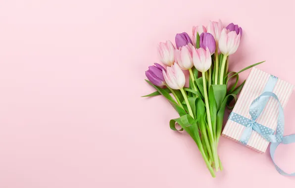 Flowers, gift, tulips, pink background, March 8, pink, flowers, background